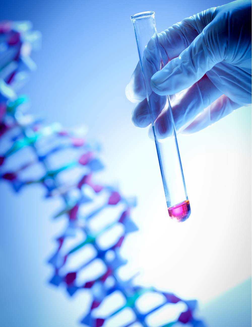 Untitled (1000 x 1300 px)